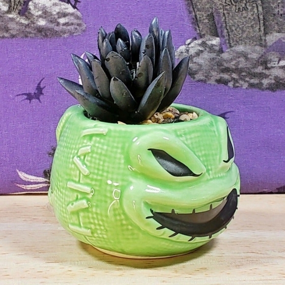 Disney Nightmare Before Christmas Oogie Boogie 3.75" Mini Succulent Plant New - Picture 2 of 8